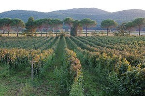 La Marsiliana paesaggio