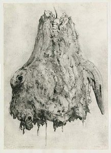 21.GVT02264_63,2x45 La Carne (Andrea Vitali, Giancarlo Vitali)