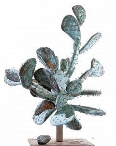 Cactus La Via del Rame (Danilo Vitali)