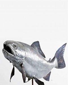 Trota La Via del Rame (Danilo Vitali)