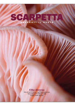 scarpetta