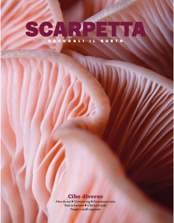 1 scarpetta